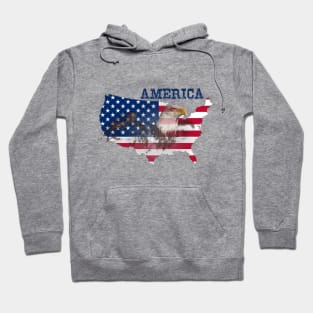 america, america flag, eagle Hoodie